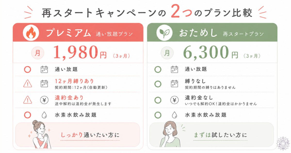 LAVA再スタートキャンペーンの２つのプラン比較